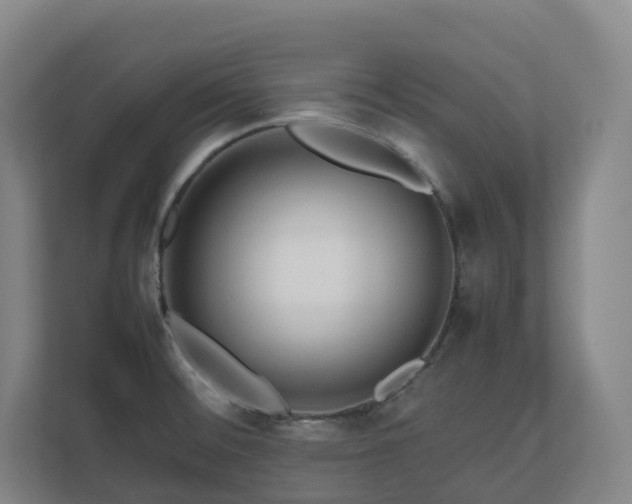 X0000111121476200906301300