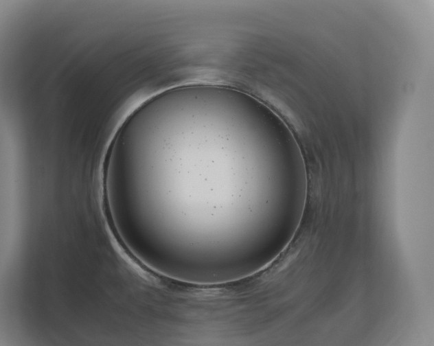 X0000111121479200906301300
