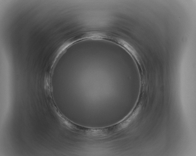 X0000111121481200906301300