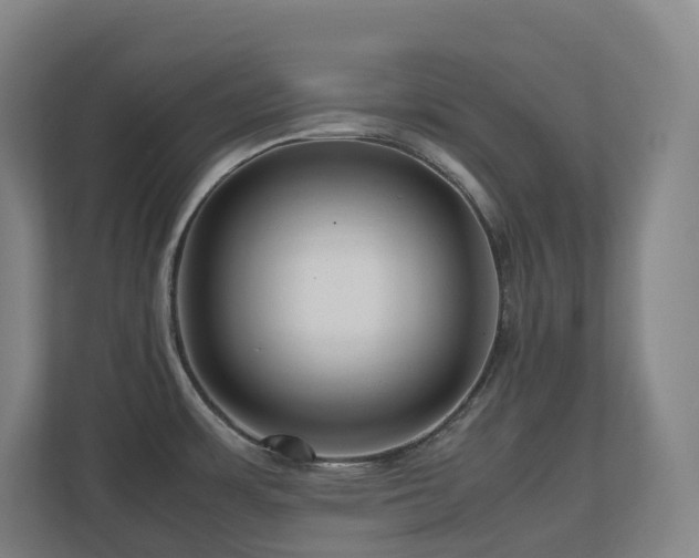X0000111121483200906301300