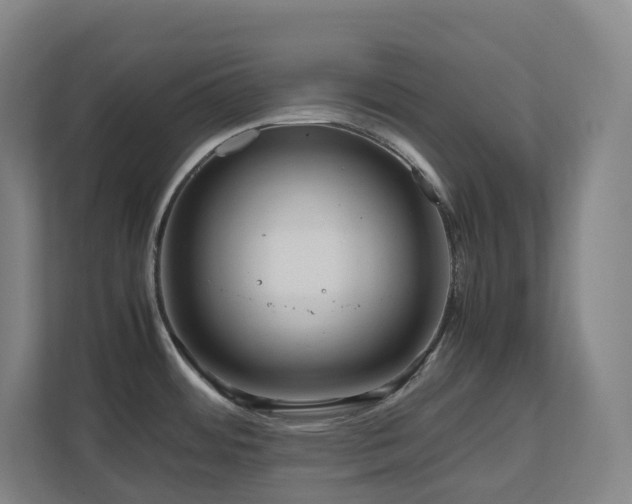 X0000111121484200906301300