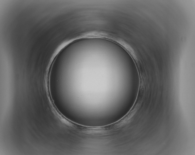 X0000111121486200906301300
