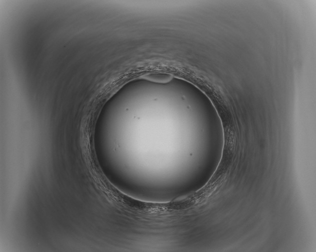 X0000111121489200906301300