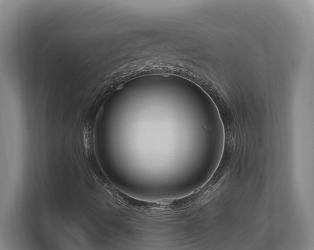 X0000111121490200906301300