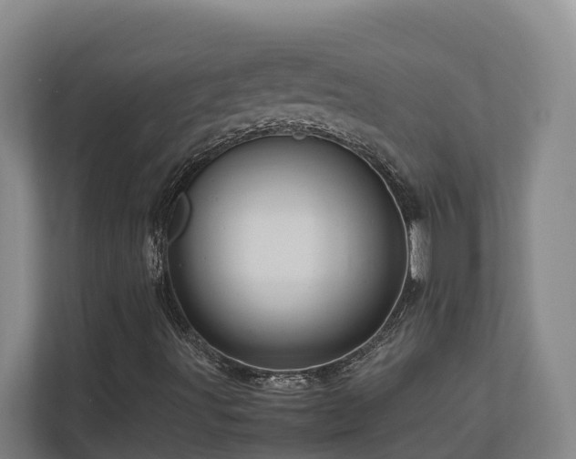 X0000111121491200906301300