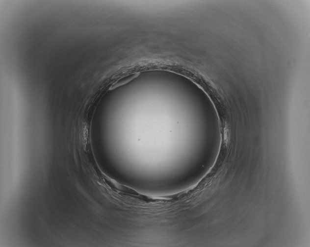 X0000111121492200906301300