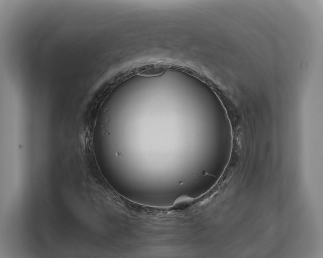 X0000111121495200906301300