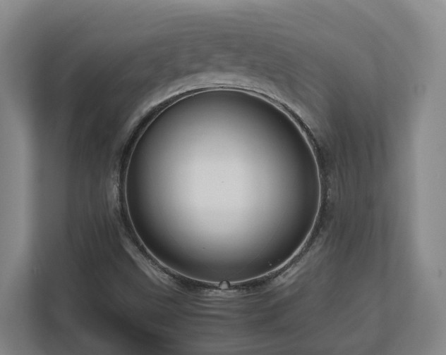 X0000111121499200906301300