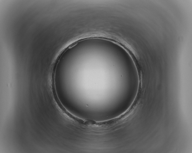 X0000111121500200906301300