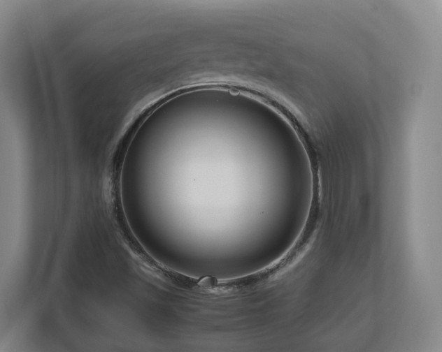 X0000111121501200906301300