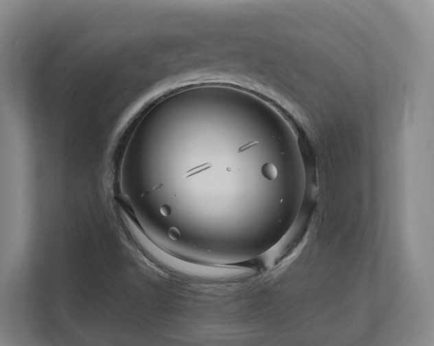 X0000111121502200906301300