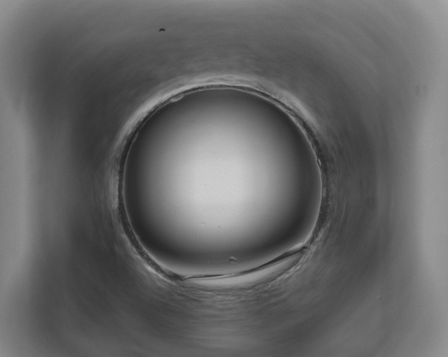 X0000111121504200906301300