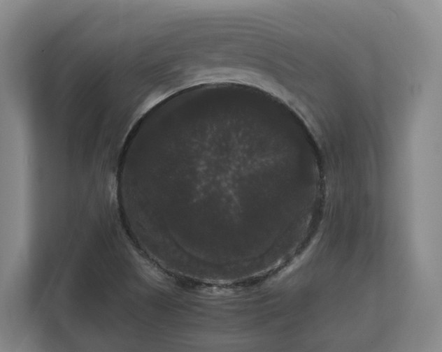 X0000111121505200906301300