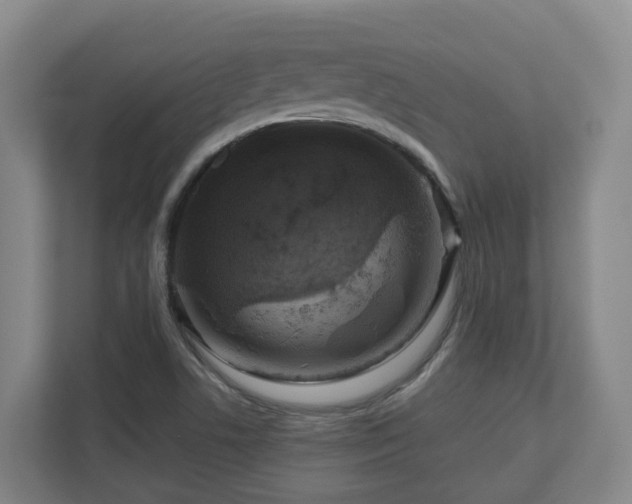 X0000111121506200906301300