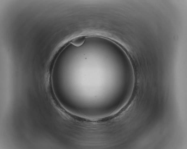 X0000111121507200906301300