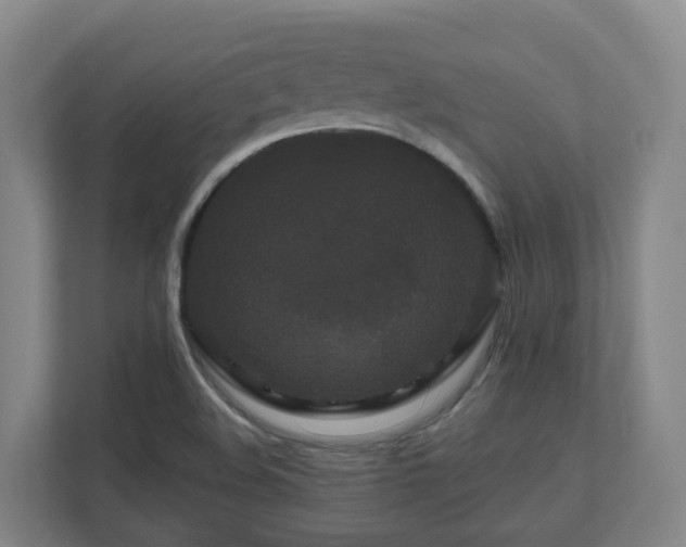 X0000111121508200906301300