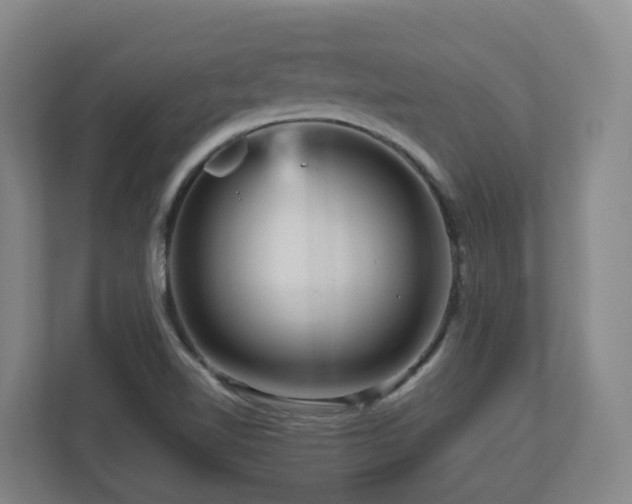 X0000111121510200906301300