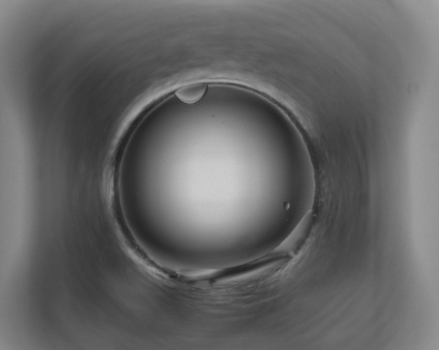X0000111121511200906301300