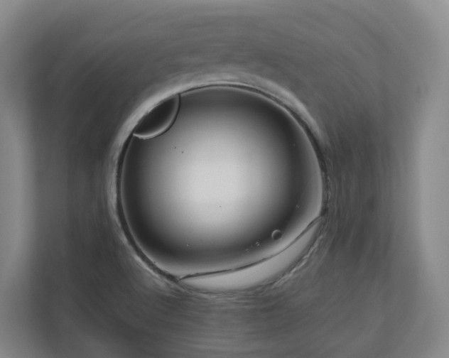 X0000111121512200906301300