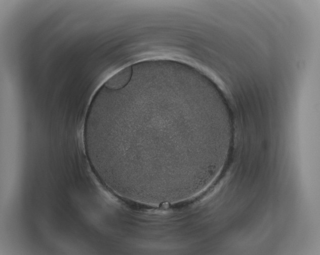 X0000111121513200906301300