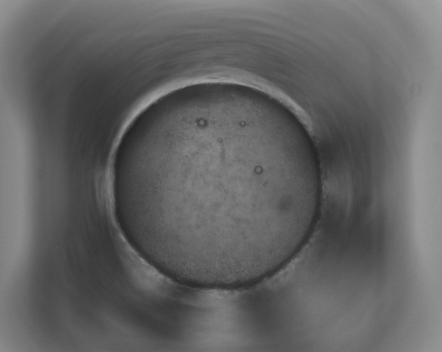 X0000111121514200906301300