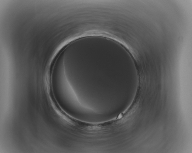 X0000111121515200906301300