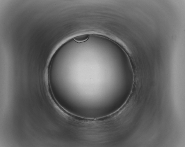 X0000111121516200906301300