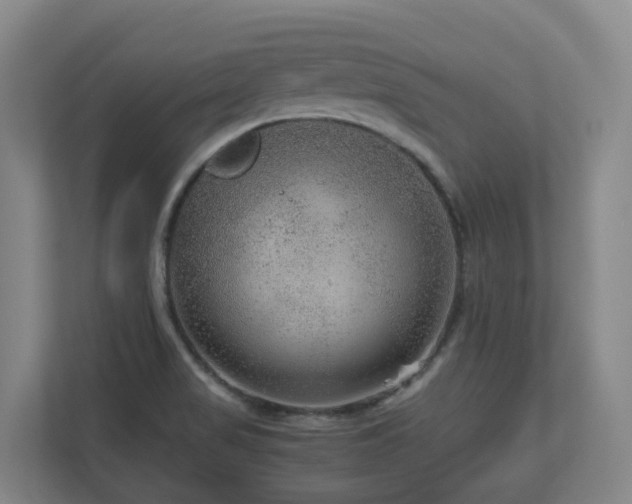 X0000111121517200906301300