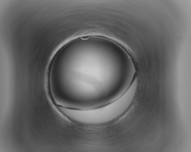X0000111121518200906301300