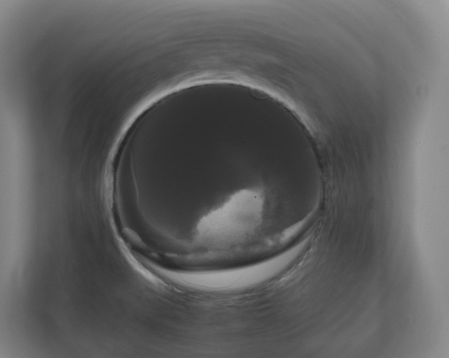 X0000111121519200906301300