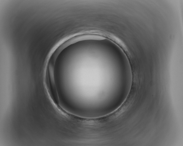 X0000111121520200906301300