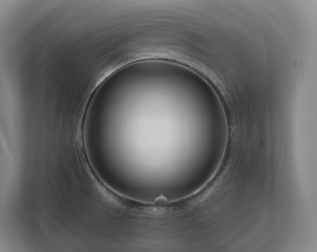 X0000111121521200906301300
