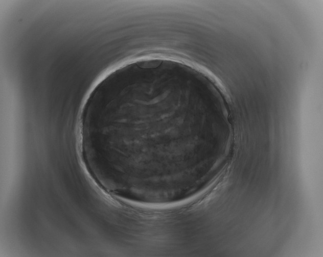 X0000111121522200906301300