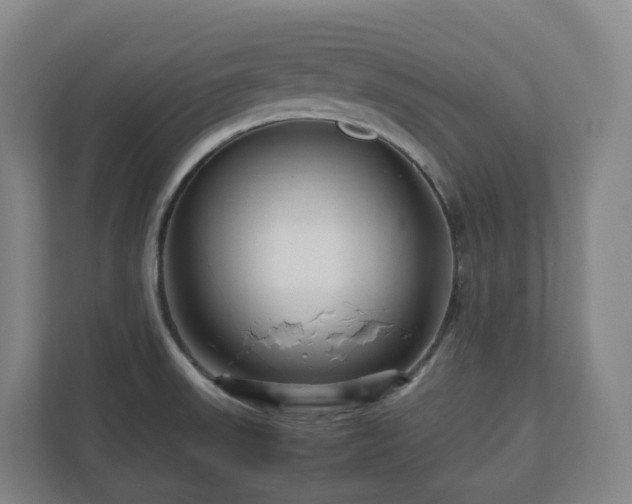 X0000111121523200906301300