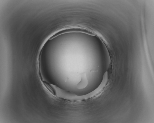 X0000111121524200906301300