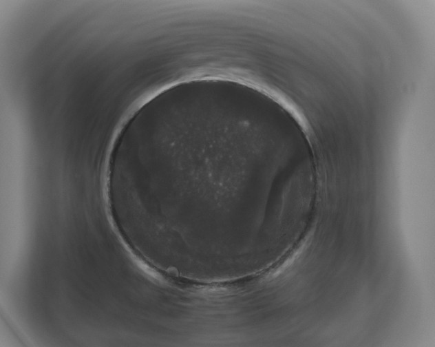 X0000111121525200906301300