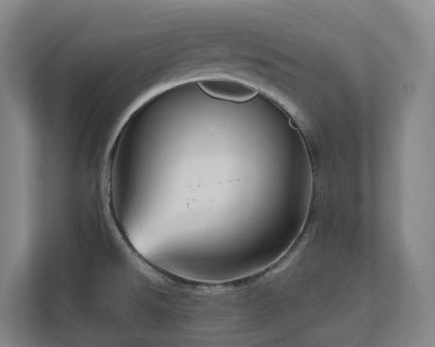 X0000111121526200906301300