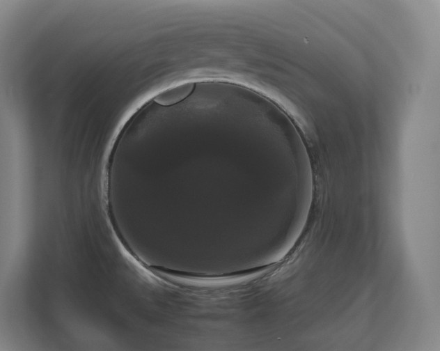 X0000111121527200906301300