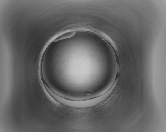 X0000111121528200906301300