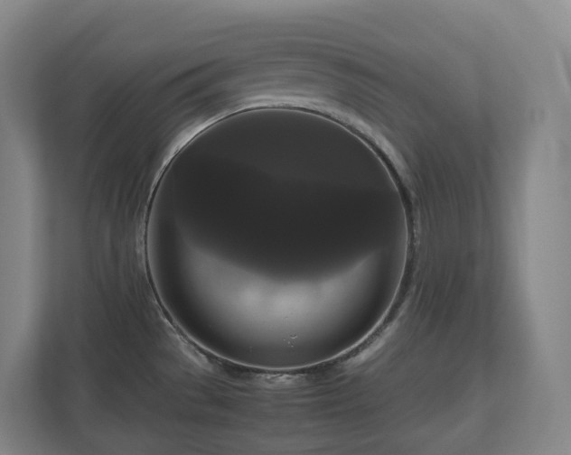 X0000111121529200906301300