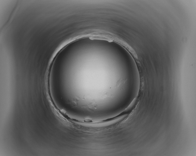 X0000111121530200906301300