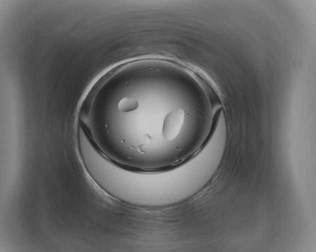 X0000111121532200906301300