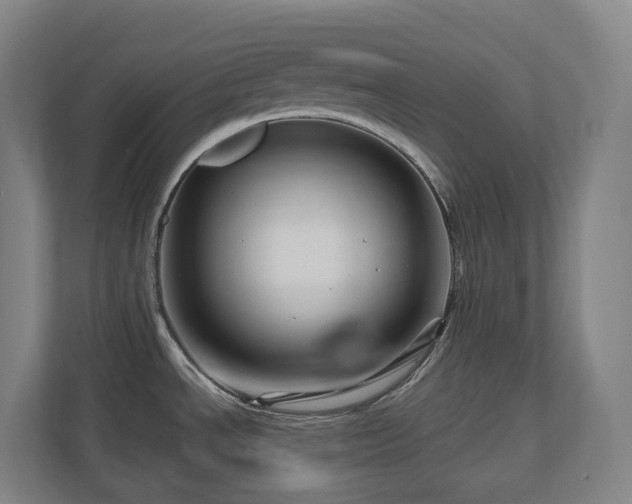 X0000111121534200906301300