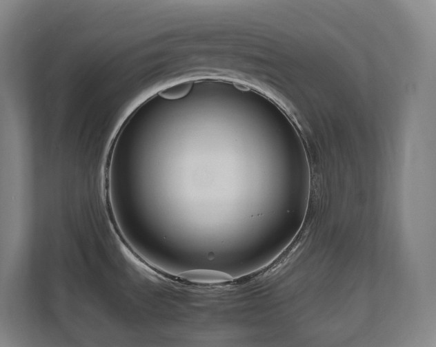 X0000111121535200906301300