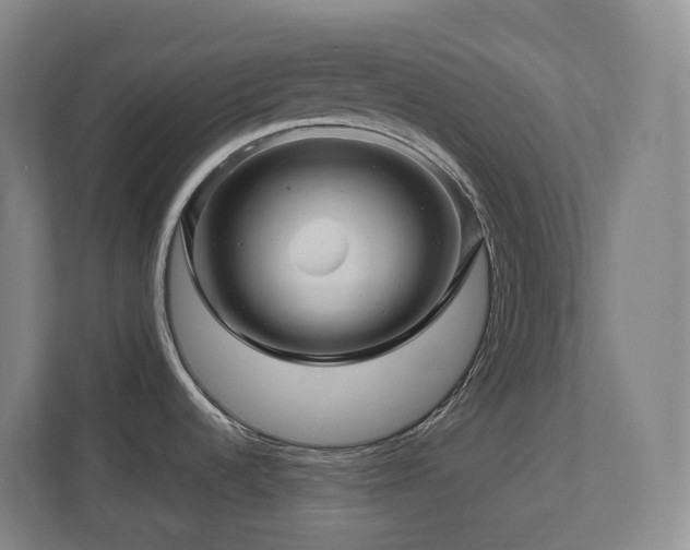 X0000111121536200906301300