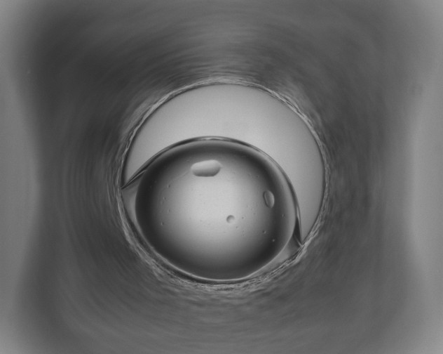 X0000111120001200907071007