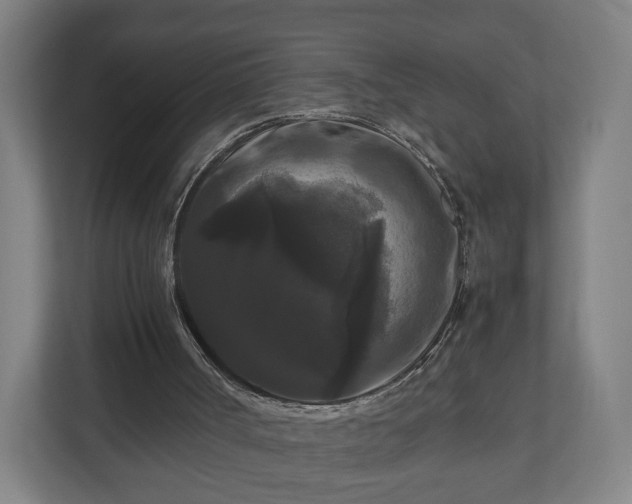 X0000111120002200907071007