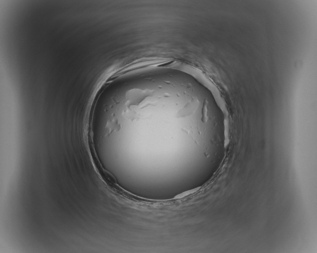 X0000111120003200907071007