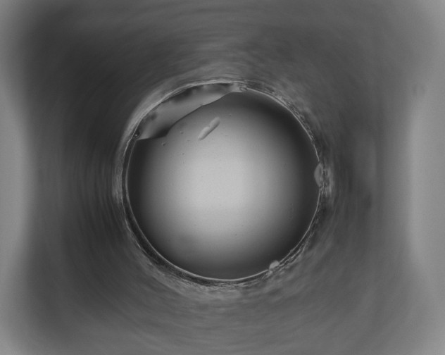 X0000111120004200907071007