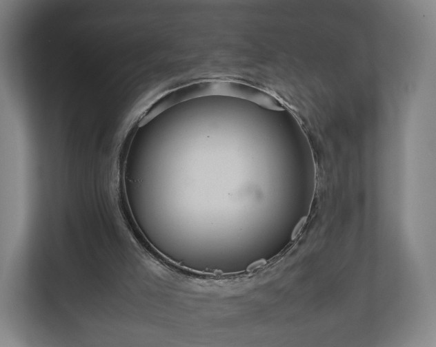 X0000111120005200907071007